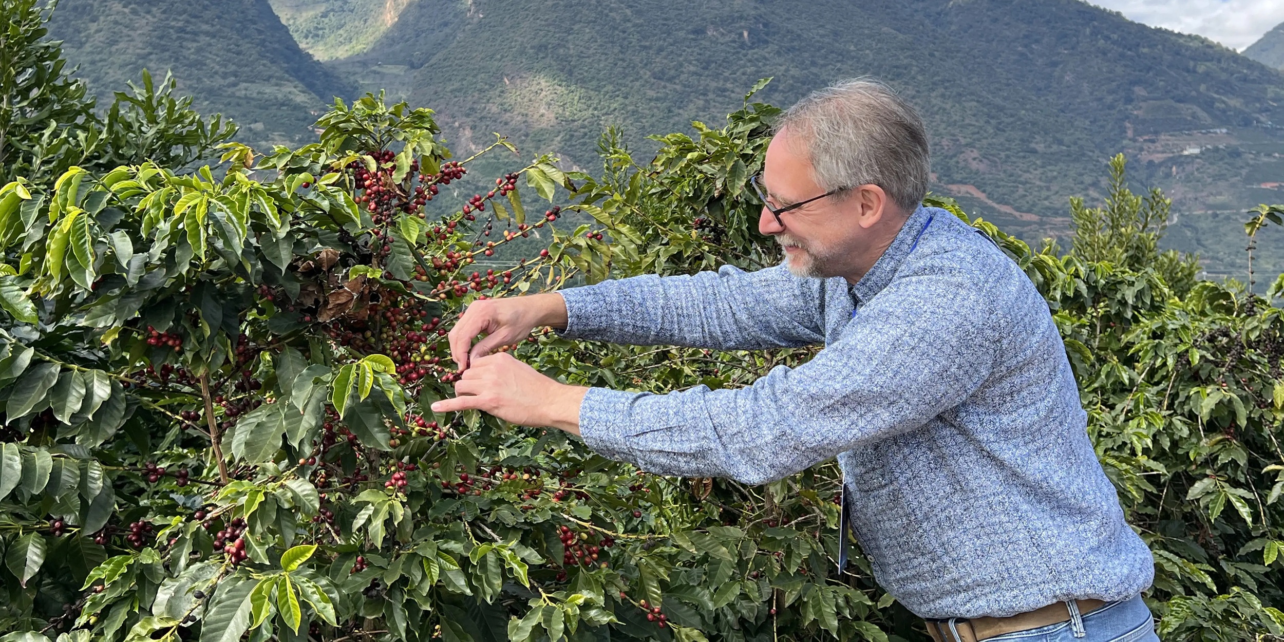 The export volume of Yunnan coffee continues to grow and is sold to more than 40 countries and regions around the world