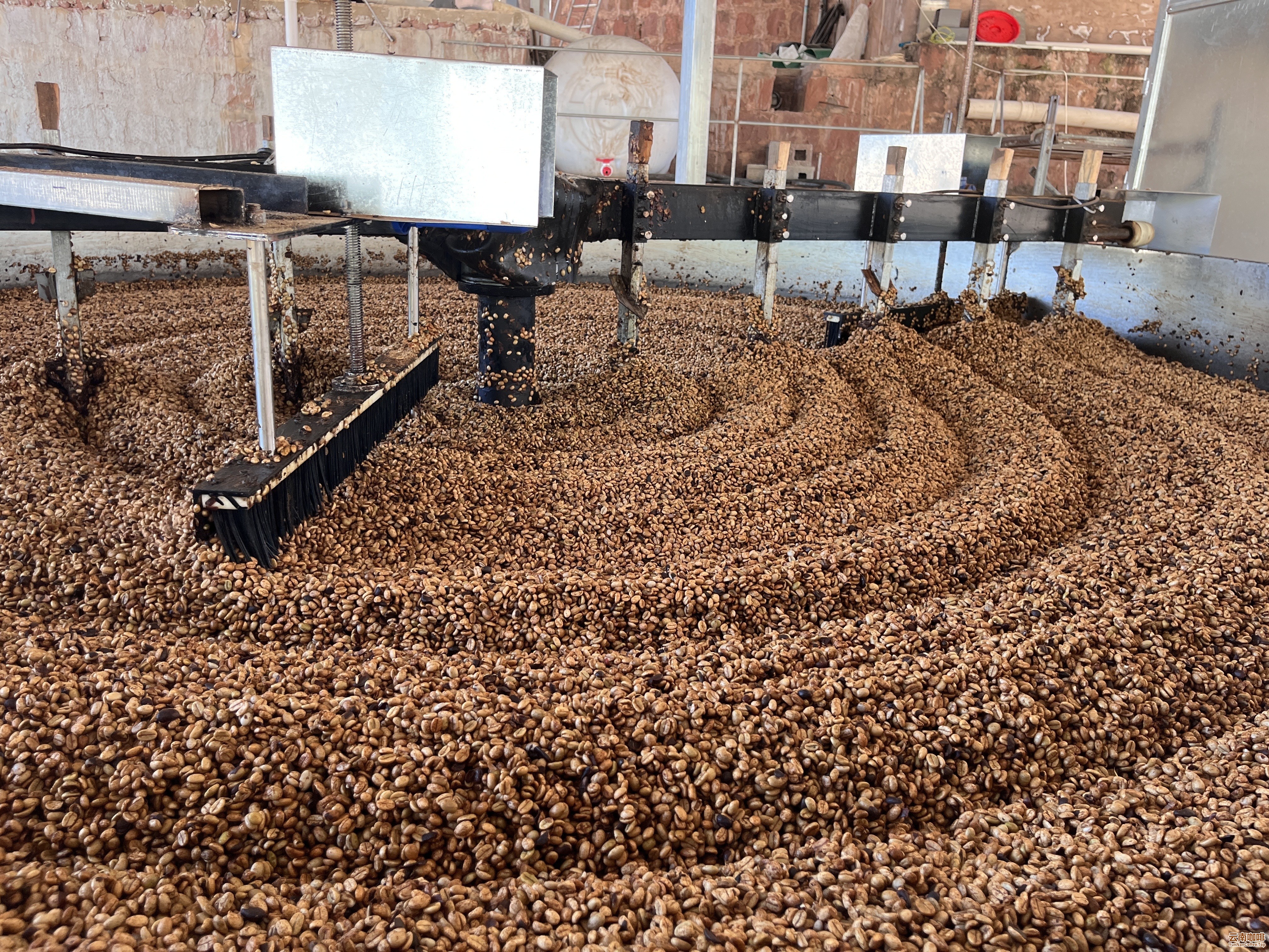 1713080598362600.jpg?x-oss-process=style/w10