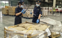 南美咖啡生豆空运直达成都！从抵港到提离口岸仅用2.5小时