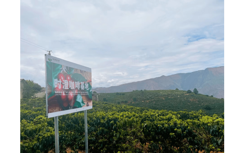 &ldquo;云南时间农业&rdquo;让云南的咖啡香味，飘向世界 Yunnan Time Agriculture "brings the aroma of Yunnan coffee to the world