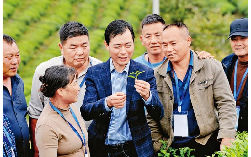农业农村现代化要抓住农民这个关键
