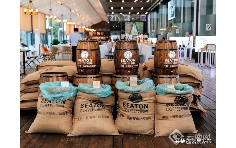 咖啡咕嘟咕嘟，日子美得冒泡The coffee is gurgling, and the days are so beautiful that they bubble