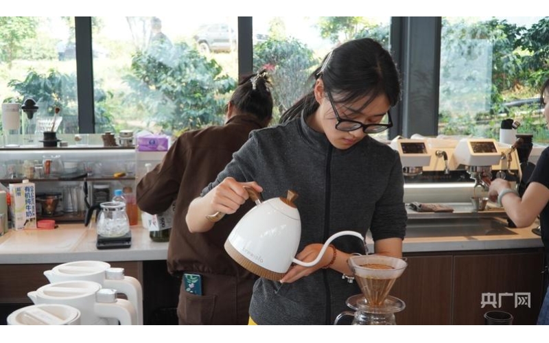 彩云之南万千气象｜&ldquo;中国咖啡第一村&rdquo;如何靠一粒豆撬动亿元产值South of Colorful Clouds, Countless Meteorology - How "China's First Coffee Village" can leverage billions of yuan in output value with just one bean