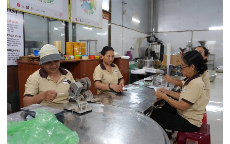 越南咖啡：从中部高原到城市街头Vietnamese Coffee: From the Central Highlands to Urban Streets