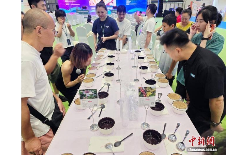 （经济观察）中国咖啡市场持续看涨 海南或成全球咖啡入华新通道(Economic Observation) The Chinese coffee market continues to rise, and Hainan may become a new channel for global coffee to enter China