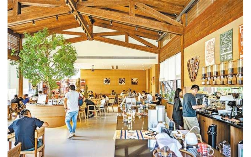 千年古镇，一杯咖啡融入中非双向奔赴A millennium old town, a cup of coffee blends into the two-way journey between China and Africa