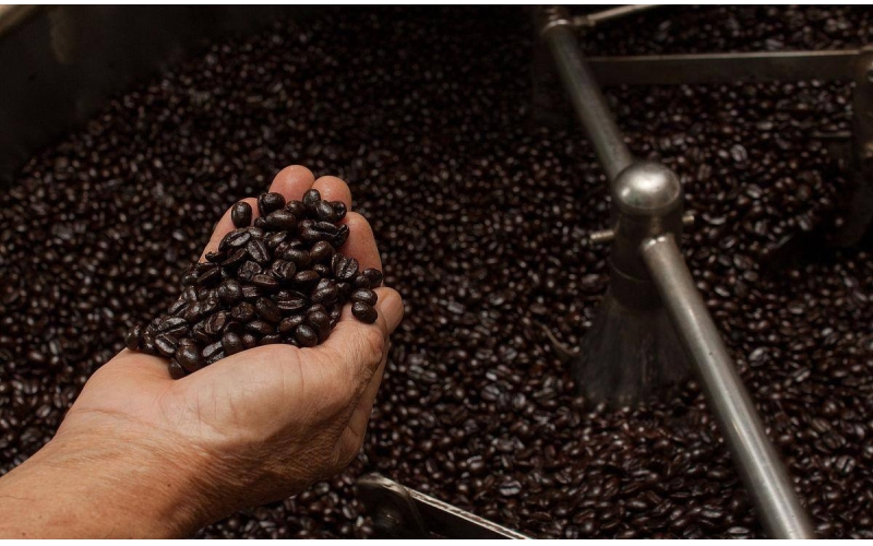 万宁市兴隆咖啡焙炒技艺非遗代表性传承人培训开班Wanning Xinglong Coffee Roasting Techniques Representative Inheritors Training Course Opened