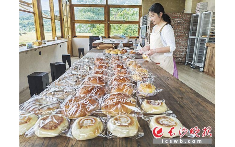 &ldquo;咖啡+窑烤面包&rdquo; 茶小亭一炉窑火烤热茶亭四季游｜湘村赶潮Coffee+Kiln Baked Bread "Tea Pavilion - Hot Tea Pavilion Four Seasons Tour - Xiangcun Catching the Tide